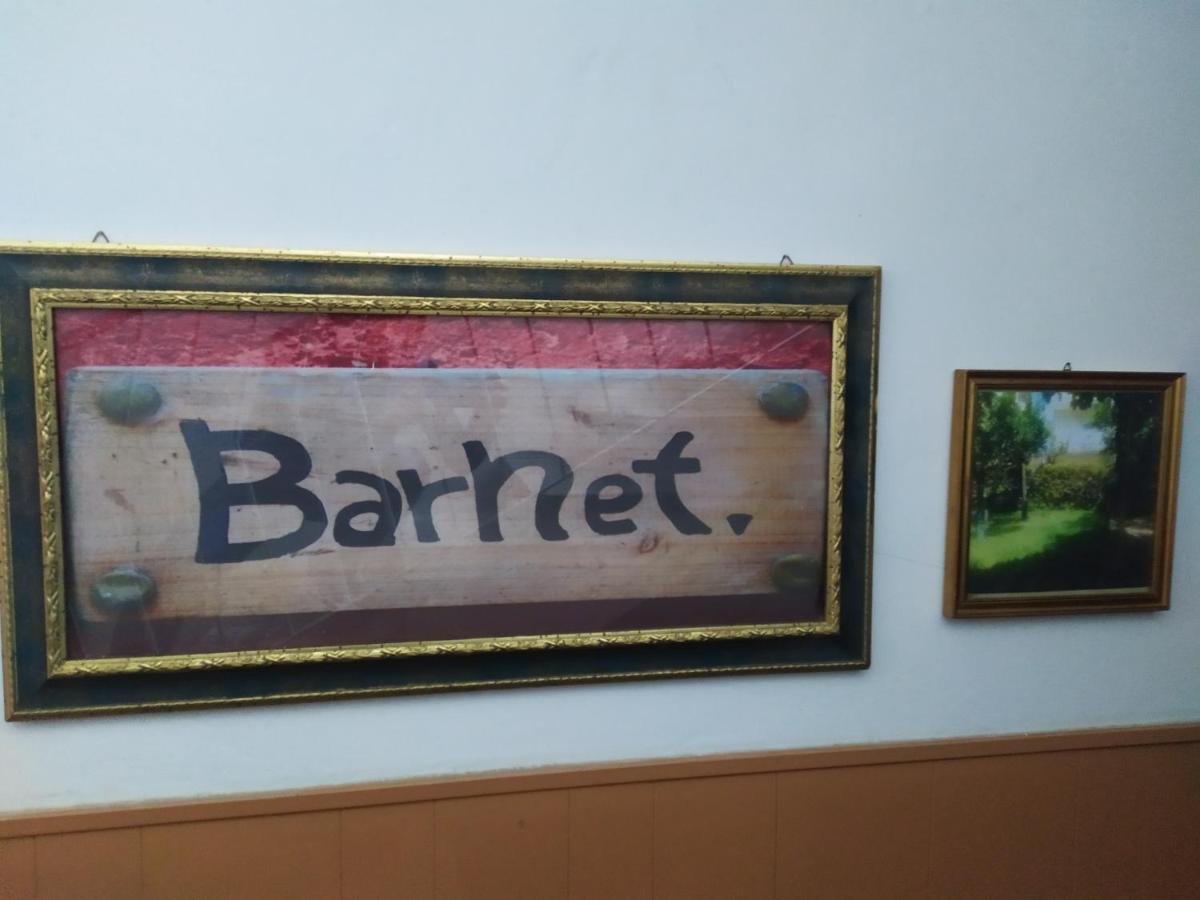 Barnet House Lamezia Apartment *