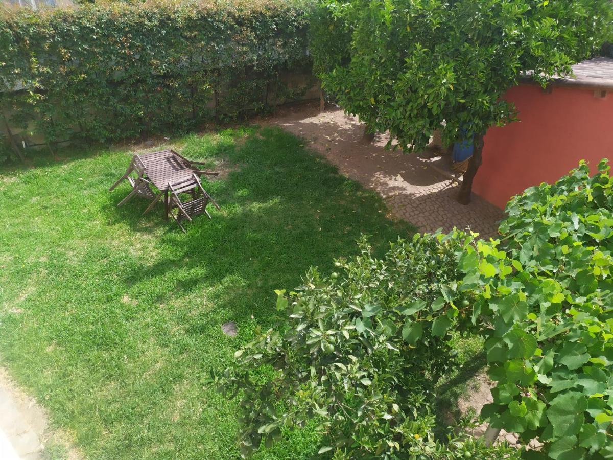 Barnet House Lamezia Apartment